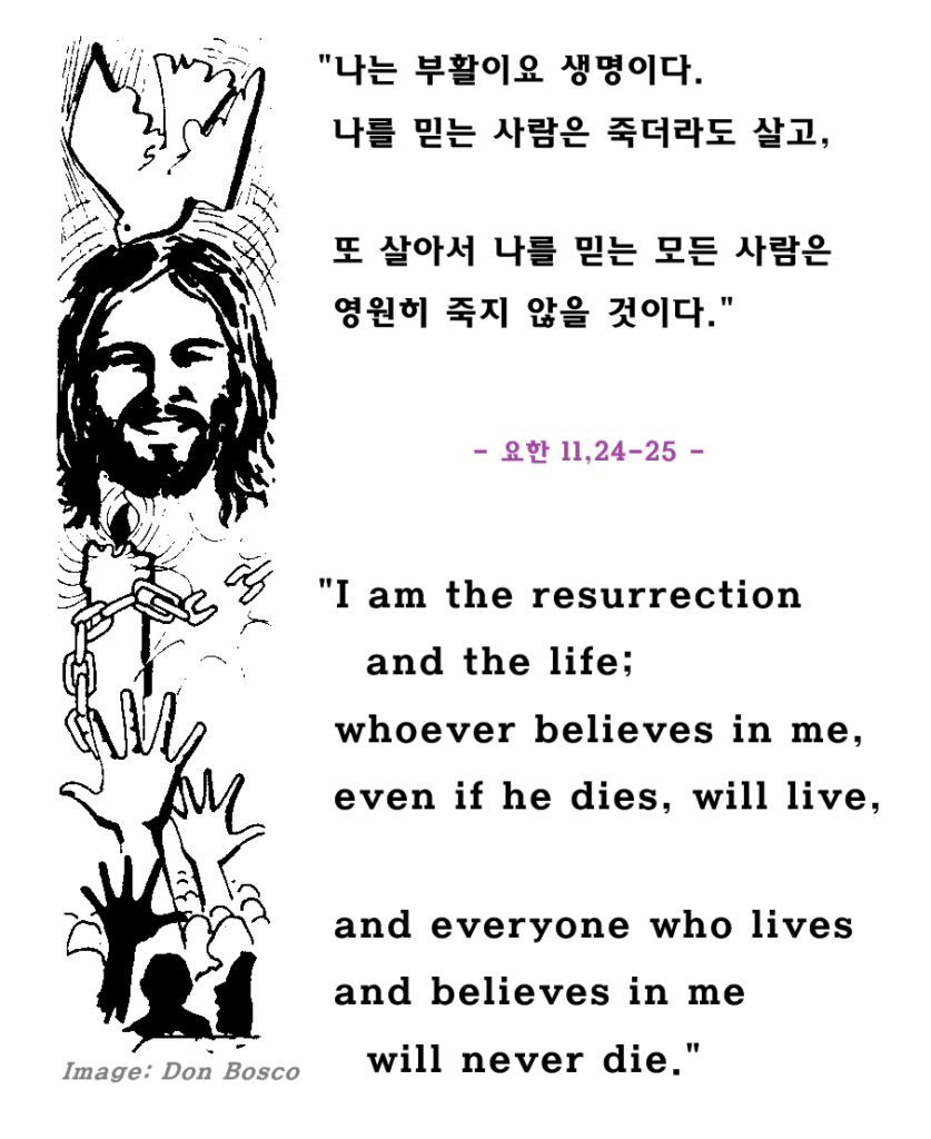 (03.22.26 주일강론Sunday) 사순 제5주일 Fifth Sunday of Lent