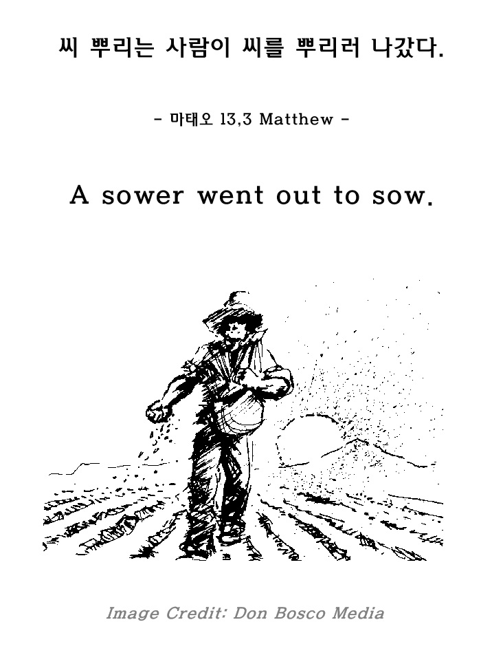 (07.12.26 주일Sunday) 연중 제15주일 Fifteenth Sunday in Ordinary Time