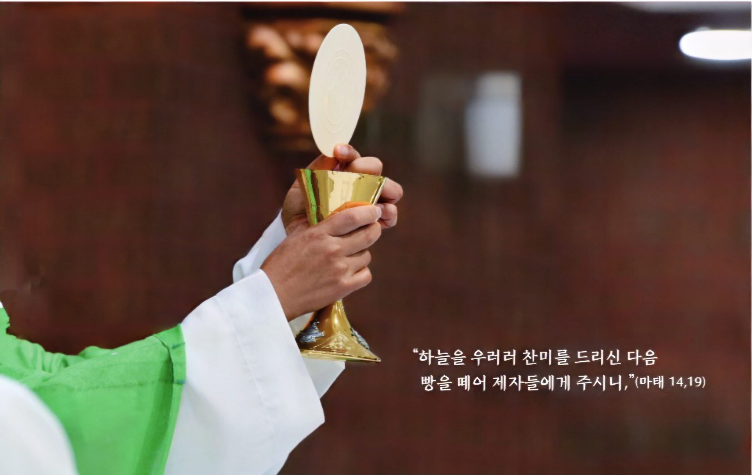 (08.02.2026 주일Sunday) 연중 제18주일 Eighteenth Sunday In Ordinary Time